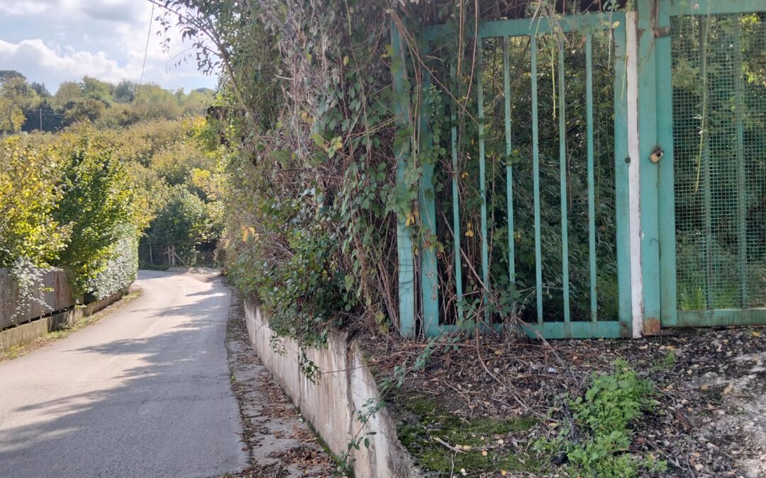 Terreno artigianale edificabile